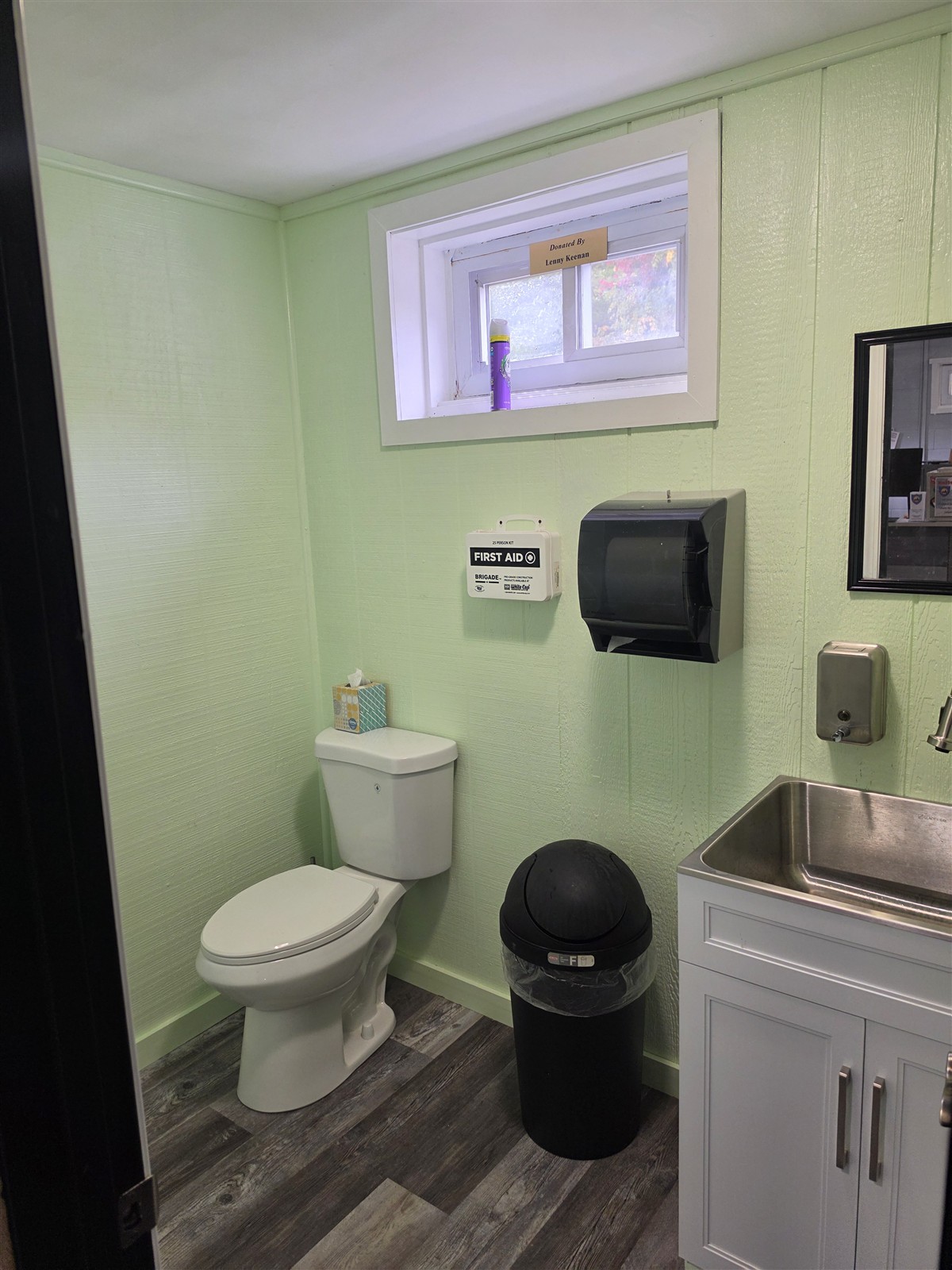Restroom with pale green walls, a white vanity and wood-look flooring.