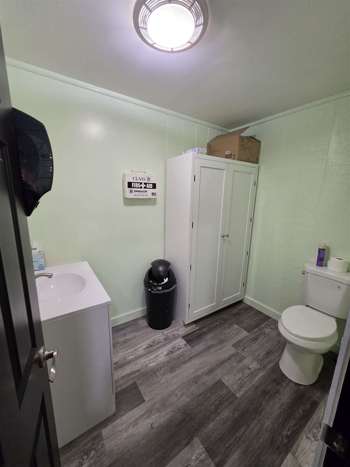 Restroom with pale green walls, a white vanity and wood-look flooring.
